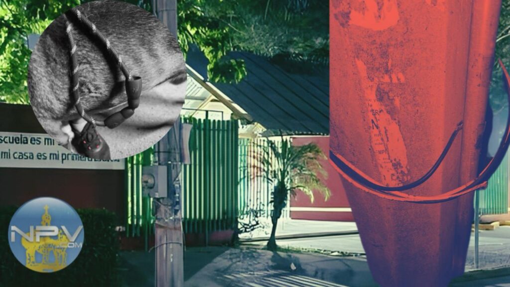 Advierten sobre cables expuestos en poste de CFE cerca de una escuela en Valle Dorado