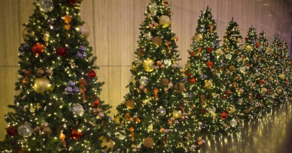 Árbol de Navidad: ¿Natural o artificial? Descubre la mejor elección