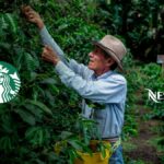 Café de alta calidad en Colombia amenazado por el crimen organizado en Nariño y Cauca