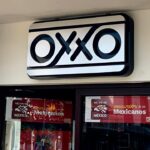 Descubren 36 maravillosos puntos púrpura en Puerto Vallarta