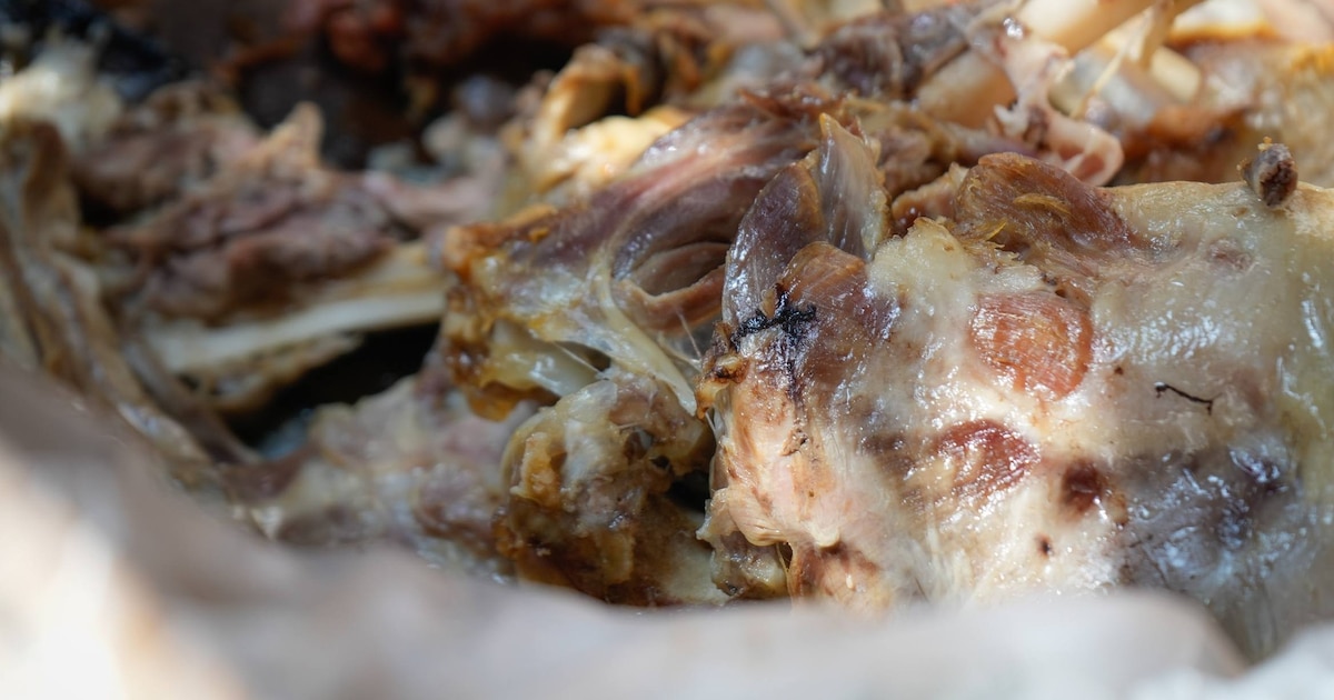 Dónde disfrutar de la Feria de la Barbacoa en CDMX: la opción perfecta para calentar el alma con sabores auténticos