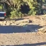 Encuentran cadáver de hombre envuelto en plástico en Balbuena, Navolato