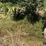 Encuentran cuerpo sin vida en La Piedrera, al sur de Culiacán: ¡Una trágica sorpresa!