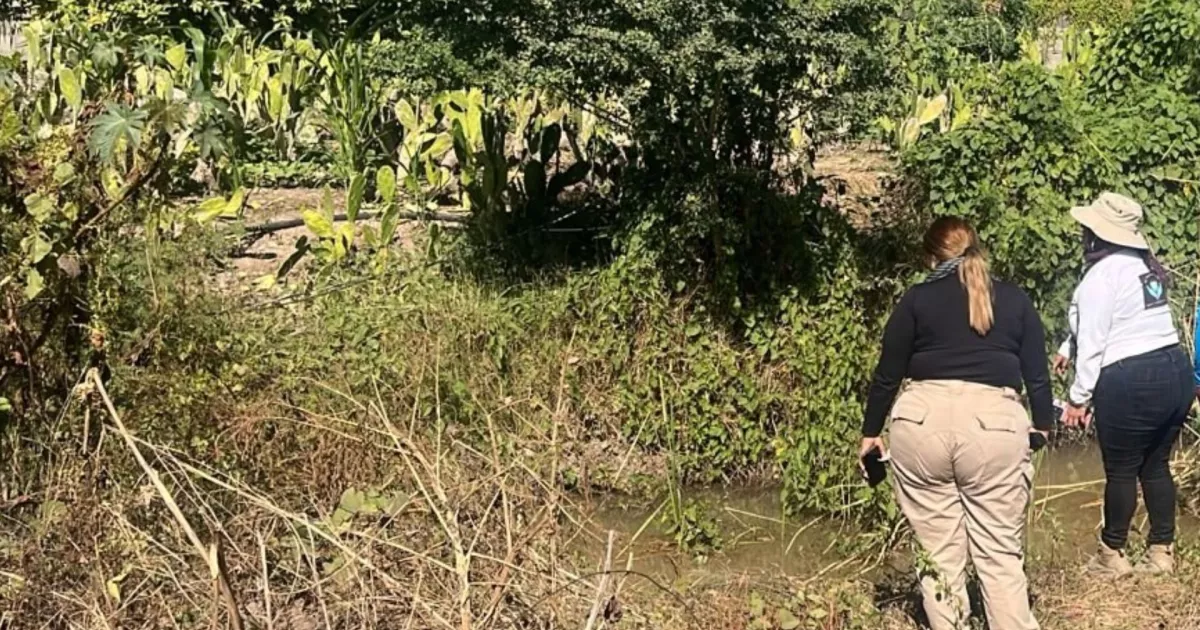 Encuentran cuerpo sin vida en La Piedrera, al sur de Culiacán: ¡Una trágica sorpresa!