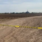 Hallan cadáver en un terreno agrícola en Guasave