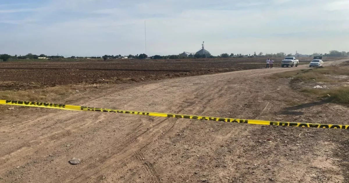 Hallan cadáver en un terreno agrícola en Guasave