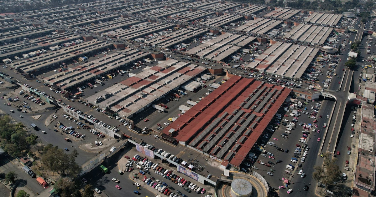 Herido en tiroteo durante celebración del 43 aniversario de la CEDA