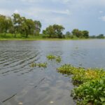 Impactante derrame de combustible en el Río Cazones: municipios afectados sin suministro de agua