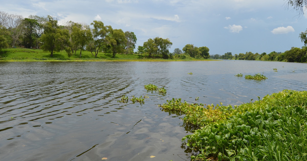 Impactante derrame de combustible en el Río Cazones: municipios afectados sin suministro de agua