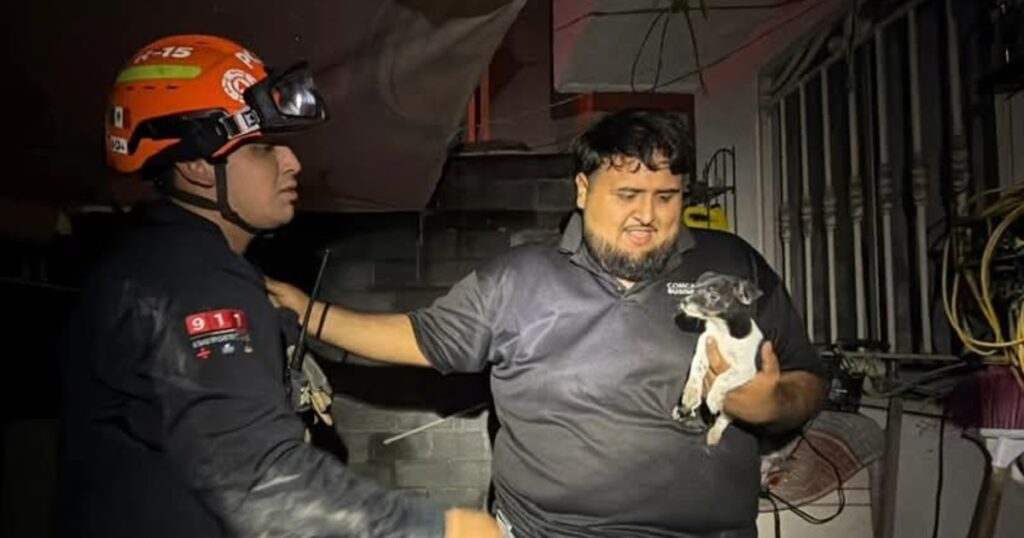Salvan a perro después de explosión de pirotecnia en Pesquería, Nuevo León