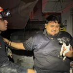 Salvan a perro después de explosión de pirotecnia en Pesquería, Nuevo León
