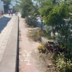 Se busca podar ramas en tramos de ciclovías para garantizar la seguridad de los ciclistas