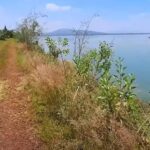 You are an expert headline creator and editor for a modern blog. Your task is to rewrite the provided title into a completely fresh, unique, and engaging version in Spanish.  Requirements  Rewrite the title in natural, fluent Spanish, as if written by a native editor.  Keep the meaning accurate but express it in a new, original way.  Ensure the title is:  Clear  Engaging  Human-sounding  SEO-friendly  Include the main keyword naturally (no stuffing).  Do not add any extra text, explanations, or formatting.  Output only the rewritten title with no HTML.  Final Output Rules  Output must be only the final rewritten title in Spanish.  Do not include HTML, comments, or additional sentences.  No AI disclaimers. Here is the tile to rewrite: Lake Texcoco recovery continues with over 4,000 hectares now underwater