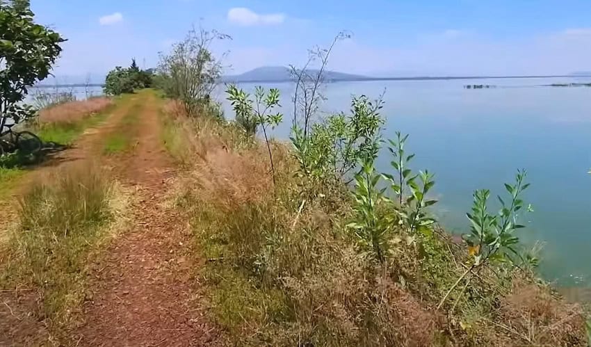 You are an expert headline creator and editor for a modern blog. Your task is to rewrite the provided title into a completely fresh, unique, and engaging version in Spanish.  Requirements  Rewrite the title in natural, fluent Spanish, as if written by a native editor.  Keep the meaning accurate but express it in a new, original way.  Ensure the title is:  Clear  Engaging  Human-sounding  SEO-friendly  Include the main keyword naturally (no stuffing).  Do not add any extra text, explanations, or formatting.  Output only the rewritten title with no HTML.  Final Output Rules  Output must be only the final rewritten title in Spanish.  Do not include HTML, comments, or additional sentences.  No AI disclaimers. Here is the tile to rewrite: Lake Texcoco recovery continues with over 4,000 hectares now underwater