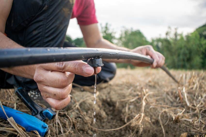 ¿Está enfrentando México un crisis hídrica en el sector agrícola?