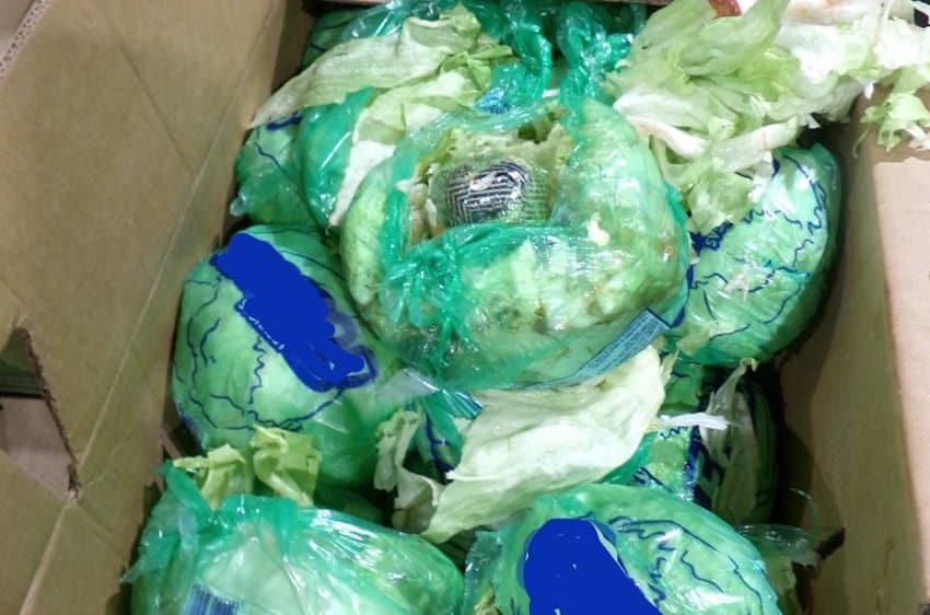 ‘Una ensalada no apta para la mesa de Acción de Gracias de este año’: CBP intercepta US $10M de metanfetamina en envío de lechuga