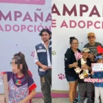 63 mascotas encuentran un hogar gracias a Huellitas del Bienestar en Mazatlán