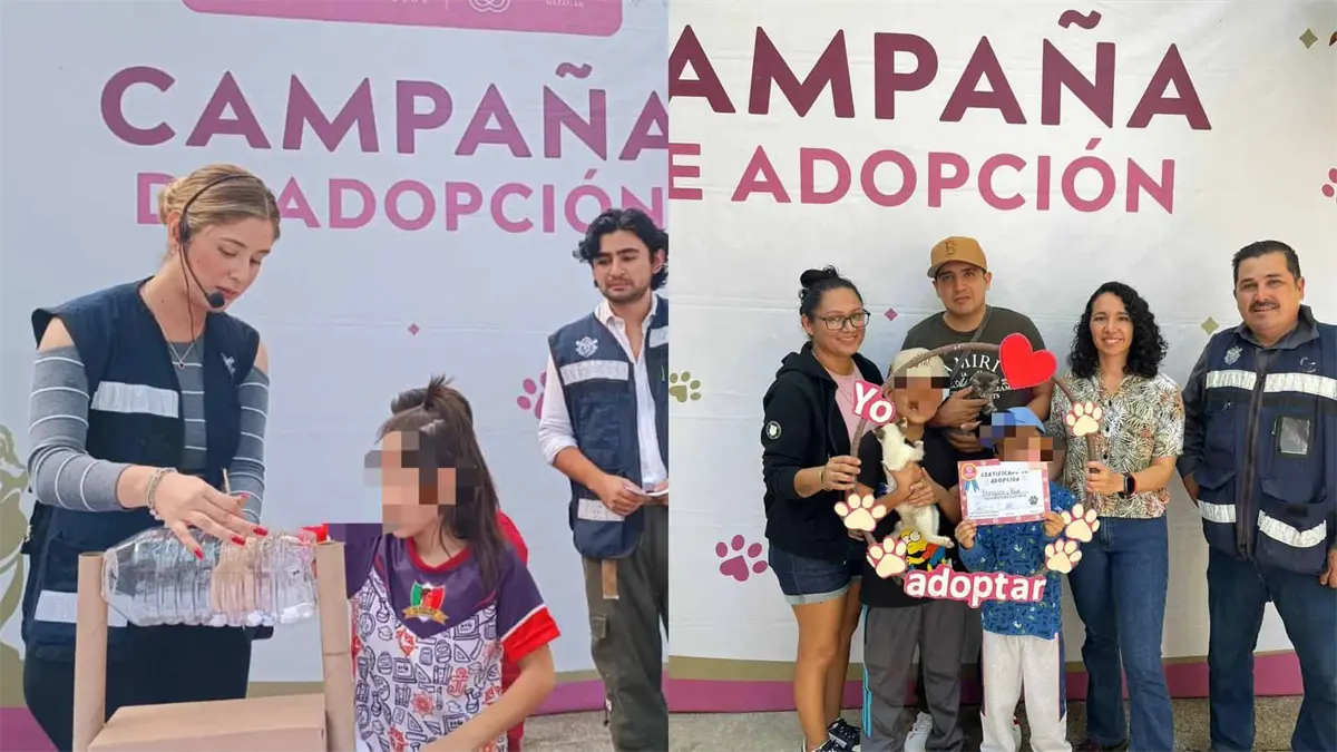 63 mascotas encuentran un hogar gracias a Huellitas del Bienestar en Mazatlán