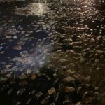 Alerta vecinal: Reportan desperdicio de agua en la colonia Díaz Ordaz