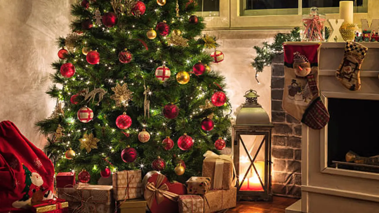 Árbol navideño natural o artificial: lo que debes saber antes de elegir el tuyo en México