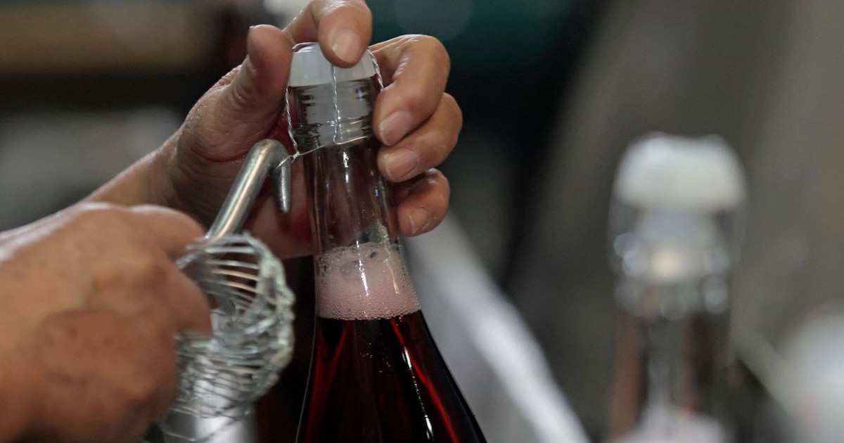 Beneficios de la sidra para prevenir enfermedades