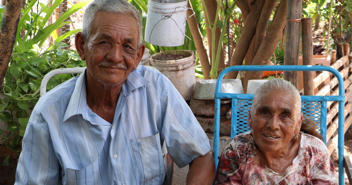 Cambios en la Pensión del Bienestar: Quiénes dejarán de recibir apoyo en el 2026