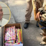 Cierre de negocios en Los Mochis por venta ilegal de fuegos artificiales