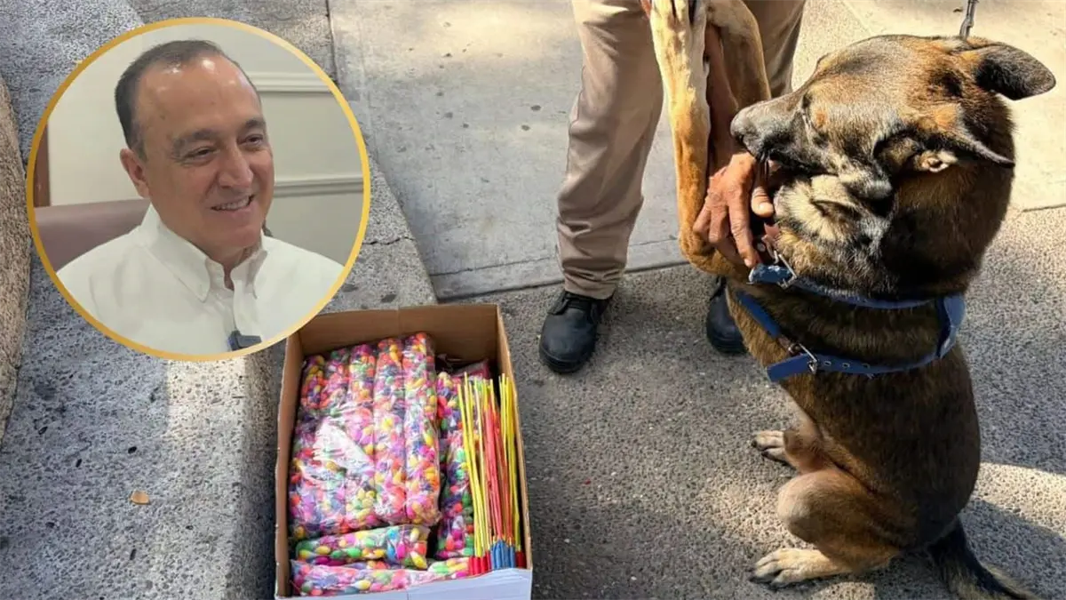 Cierre de negocios en Los Mochis por venta ilegal de fuegos artificiales