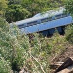 Confirmado: Tren Interoceánico descarrila en Oaxaca con 241 pasajeros a bordo