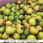 Deliciosos postres tradicionales que alegran las fiestas navideñas en Mazatlán