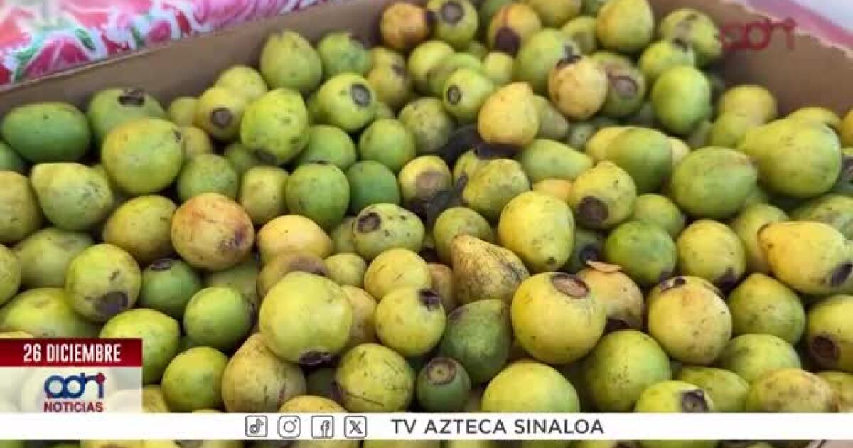 Deliciosos postres tradicionales que alegran las fiestas navideñas en Mazatlán