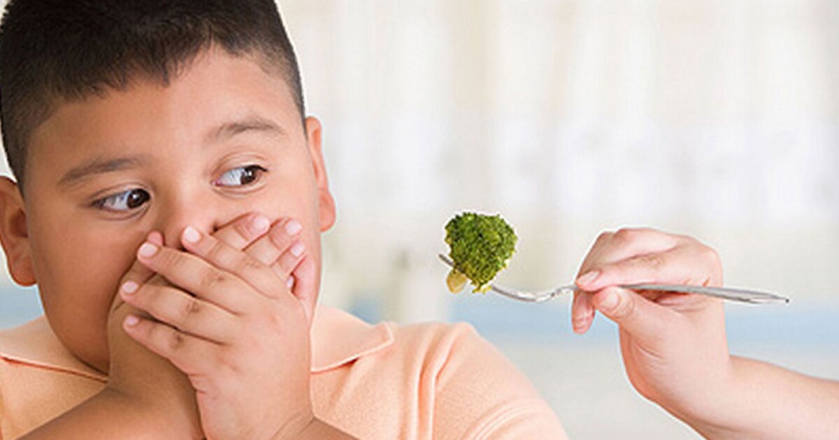Desafíos alimenticios en niños de Sinaloa: desnutrición en áreas marginadas y obesidad en entornos urbanos