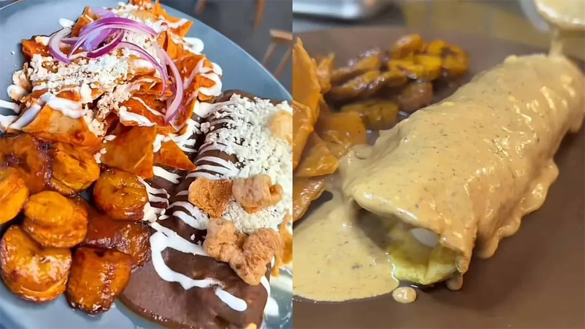 Descubre en Mazatlán este exótico platillo: ¡Omelette de pulpo!