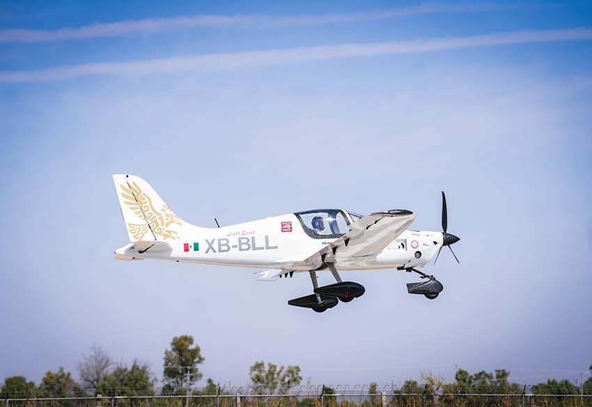 Descubre los relatos más populares del 2025 en MND: aventuras, pirámides y crías de delfín.