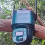 Descubren cámara con panel solar instalada en un árbol en El Bledal, Navolato