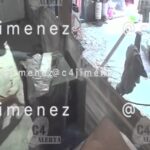 Dueños se niegan a responsabilizarse tras brutal ataque de tres pitbulls a mujer en Tláhuac