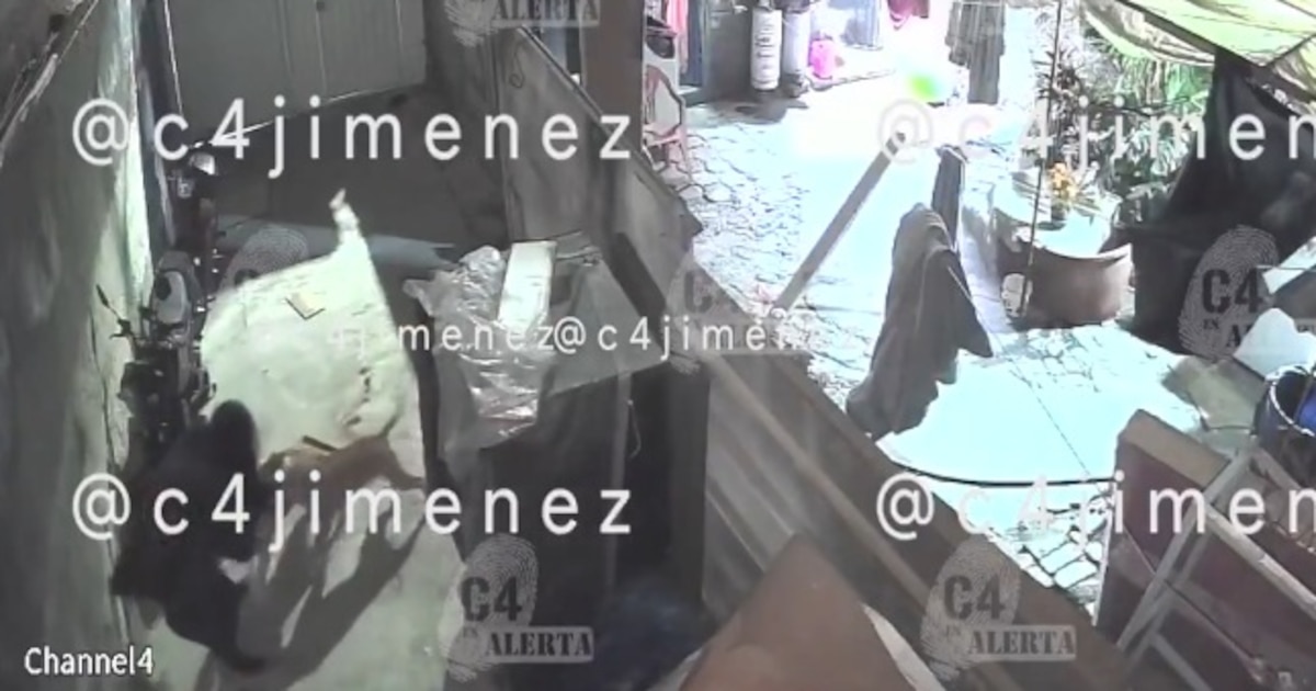 Dueños se niegan a responsabilizarse tras brutal ataque de tres pitbulls a mujer en Tláhuac