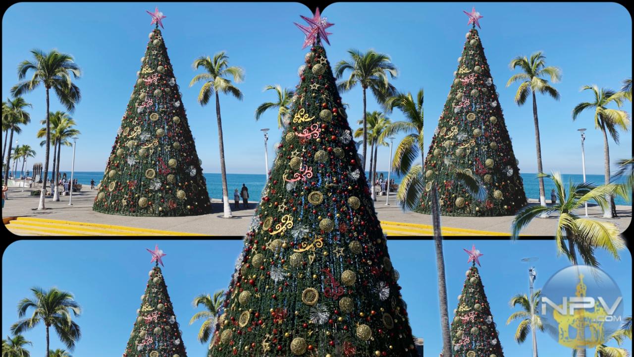El espíritu festivo brilla en Puerto Vallarta con el árbol navideño del Malecón
