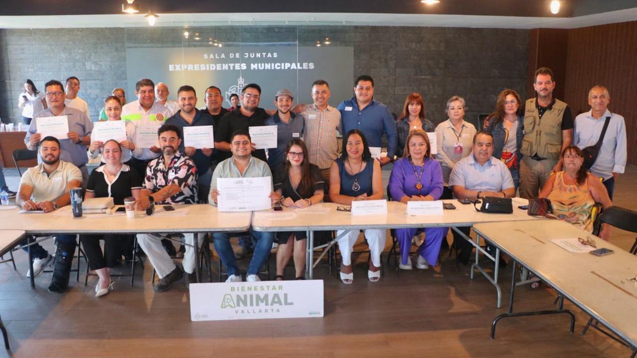 El gobierno local comienza la renovación del Reglamento de Bienestar Animal