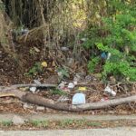 El incremento de vertederos clandestinos de desechos en Puerto Vallarta