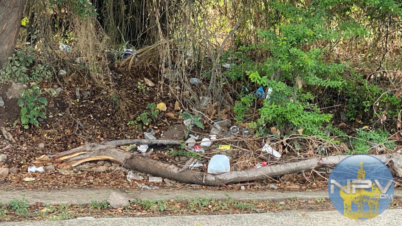 El incremento de vertederos clandestinos de desechos en Puerto Vallarta