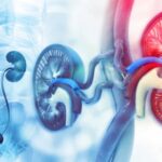 El remedio natural para proteger las vías urinarias en invierno