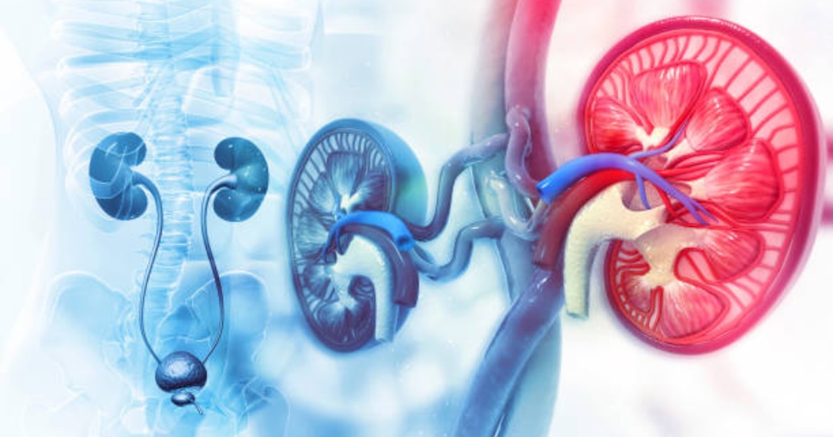 El remedio natural para proteger las vías urinarias en invierno