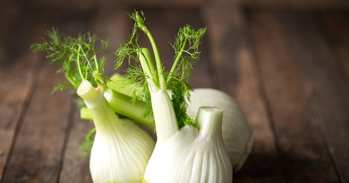 El té de hinojo: tu aliado contra la indigestión en las fiestas navideñas