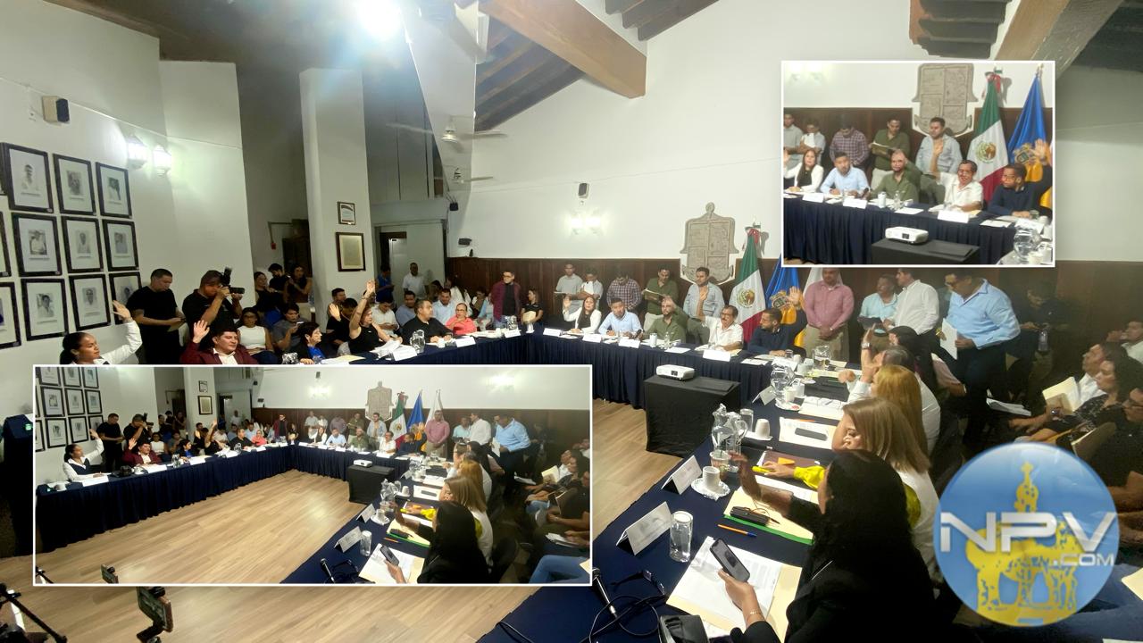 Exploran nuevas medidas para sancionar la tala ilegal de árboles