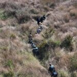 Explorando la Tierra: Cómo científicos mexicanos utilizan plantas, insectos y suelo para encontrar a los desaparecidos.