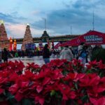 Febrero en el Zócalo: Descubre las fechas y horarios de la feria de artesanías en la CDMX