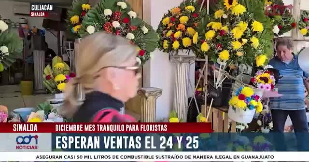 Flores en Culiacán: Comerciantes optimistas ante la temporada navideña
