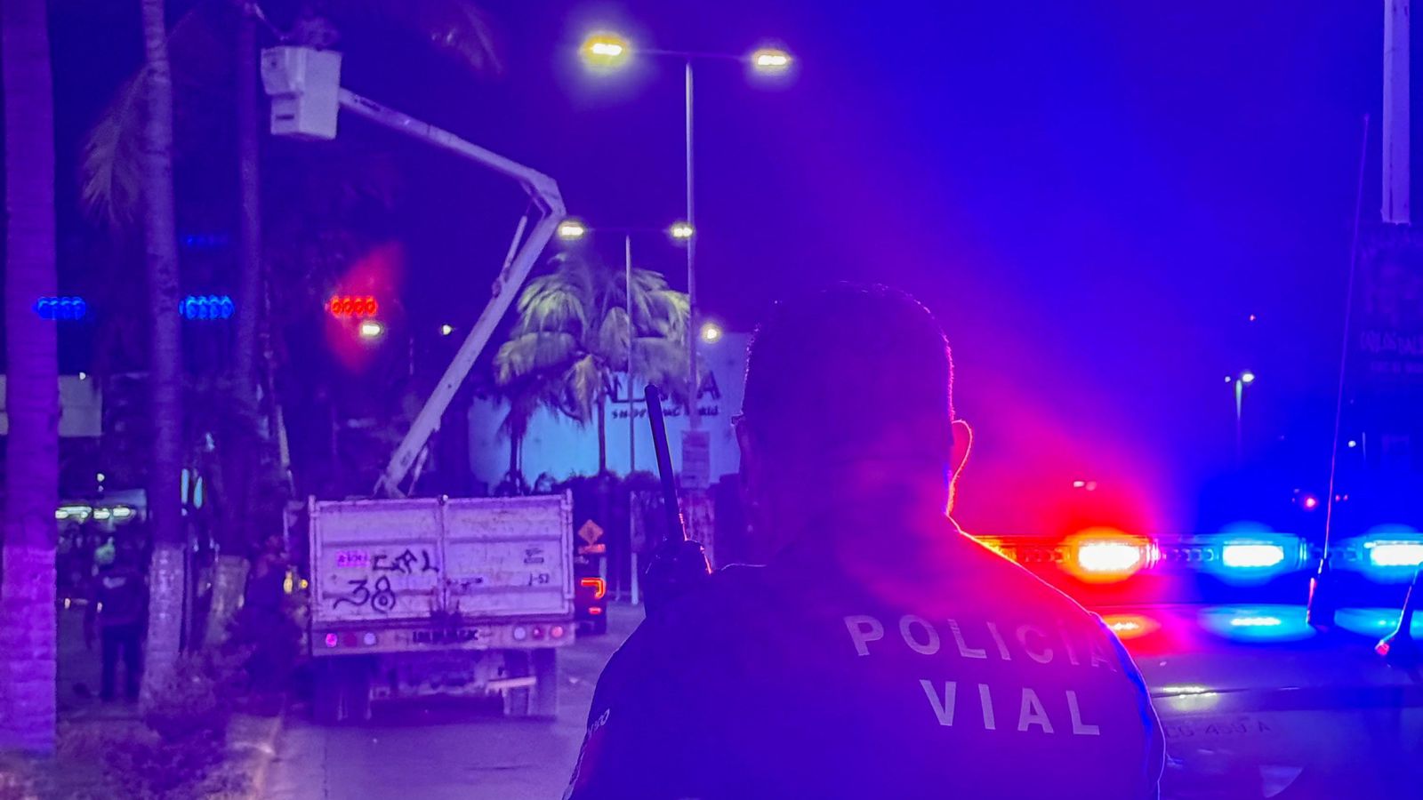 Fortalecimiento de seguridad y orden en Puerto Vallarta con la poda de palmeras en la avenida de ingreso