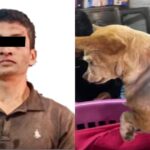 Hombre acusado de atacar brutalmente a la perrita "Martha" comparece en juicio